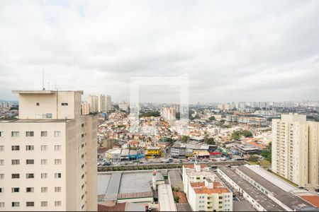 Vista de apartamento para alugar com 2 quartos, 50m² em Piqueri, São Paulo