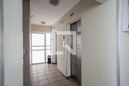 Apartamento para alugar com 70m², 3 quartos e 2 vagas Apartamento para alugar com 70m², 3 quartos e 2 vagasHall
