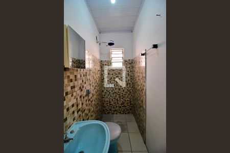 Banheiro de casa para alugar com 1 quarto, 32m² em Vila Palmares, Santo André