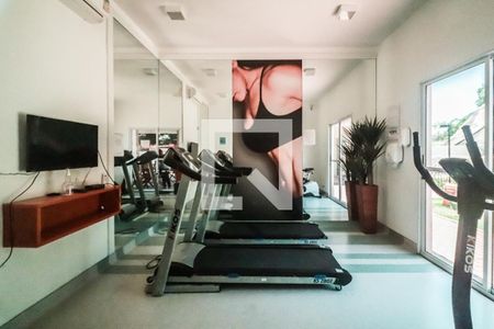 Apartamento para alugar com 46m², 2 quartos e 1 vagaAcademia