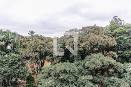 Vista Varanda da Sala de apartamento para alugar com 2 quartos, 72m² em Bom Retiro, São Paulo