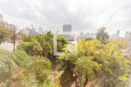 Apartamento para alugar com 273m², 4 quartos e 3 vagasVista do Quarto 