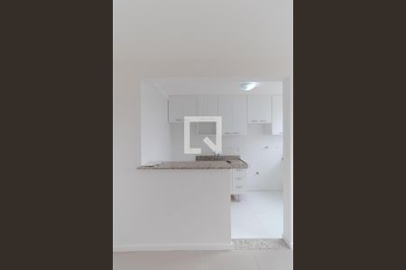 Cozinha de apartamento para alugar com 2 quartos, 44m² em Loteamento Parque São Martinho, Campinas