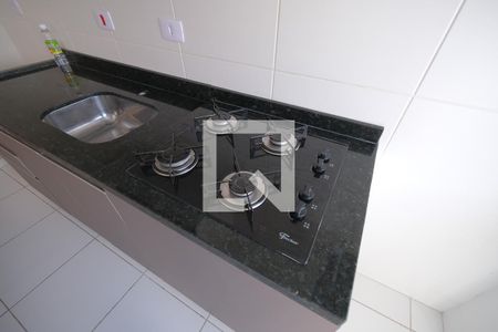 Apartamento para alugar com 53m², 2 quartos e 1 vaga Apartamento para alugar com 53m², 2 quartos e 1 vagadetalhe da cozinha