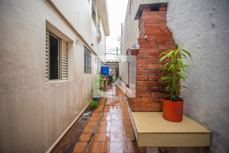 Casa à venda com 176m², 5 quartos e 3 vagasÁrea comum - Churrasqueira