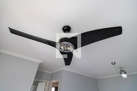 Sala - Ventilador de apartamento para alugar com 1 quarto, 50m² em Cambuci, São Paulo