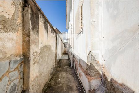 Casa à venda com 500m², 6 quartos e 3 vagas Casa à venda com 500m², 6 quartos e 3 vagasQuintal