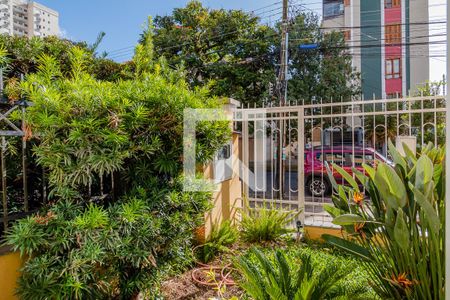 Casa à venda com 340m², 6 quartos e 7 vagasVista