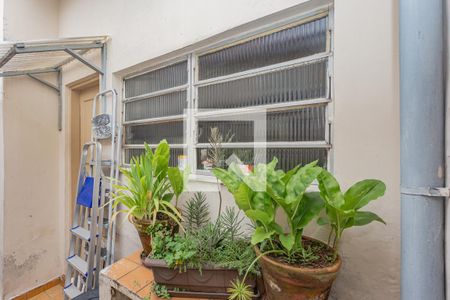 Casa à venda com 250m², 2 quartos e 2 vagasQuintal casa 1