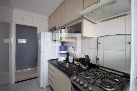 Cozinha de apartamento para alugar com 2 quartos, 50m² em Parque Boturussu, São Paulo