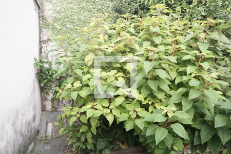 Casa à venda com 60m², 2 quartos e 1 vagaÁrea comum