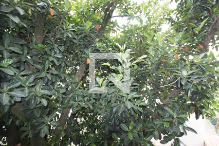 Apartamento à venda com 42m², 2 quartos e sem vagaVista da Cozinha