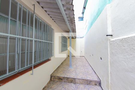 Quintal de casa para alugar com 3 quartos, 120m² em Vila Maria Alta, São Paulo