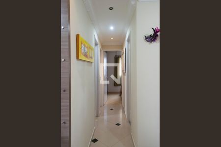 Corredor de apartamento à venda com 3 quartos, 60m² em Jardim Íris, São Paulo