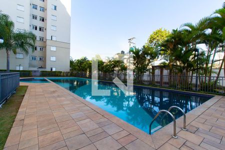 Área comum - Piscina de apartamento à venda com 2 quartos, 50m² em Vila Moreira, São Paulo