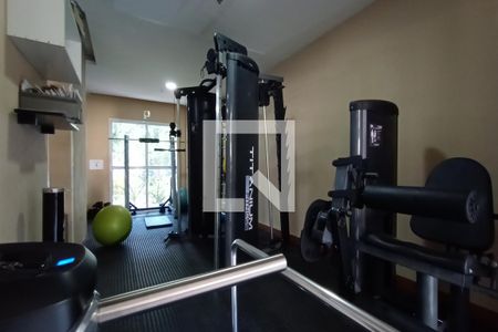 Área comum - Academia de apartamento para alugar com 2 quartos, 68m² em Recreio dos Bandeirantes, Rio de Janeiro