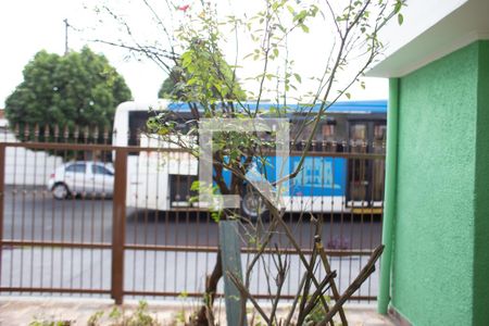 Casa para alugar com 250m², 3 quartos e 2 vagas Casa para alugar com 250m², 3 quartos e 2 vagasVista do Quarto 1