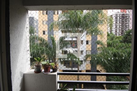 Vista da Sala de apartamento à venda com 3 quartos, 64m² em Vila Sofia, São Paulo