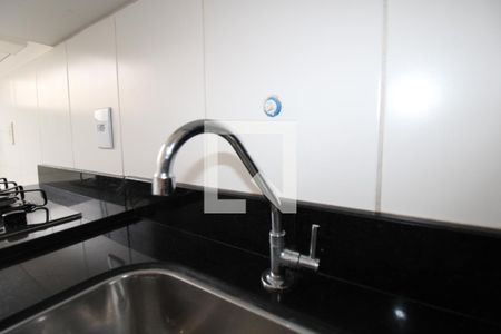 Cozinha e Área de Serviço de apartamento para alugar com 2 quartos, 46m² em Jardim Nova Europa, Campinas