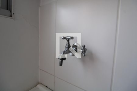 Cozinha e Área de Serviço de apartamento para alugar com 2 quartos, 46m² em Jardim Nova Europa, Campinas
