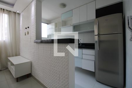 Cozinha e Área de Serviço de apartamento para alugar com 2 quartos, 46m² em Jardim Nova Europa, Campinas