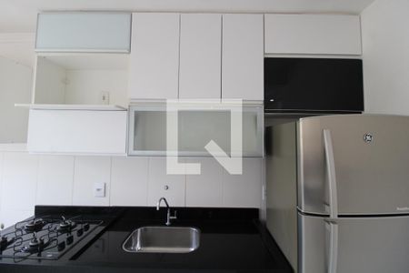 Cozinha e Área de Serviço de apartamento para alugar com 2 quartos, 46m² em Jardim Nova Europa, Campinas