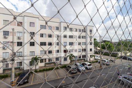 Apartamento para alugar com 47m², 2 quartos e 1 vagaVista do Quarto 2