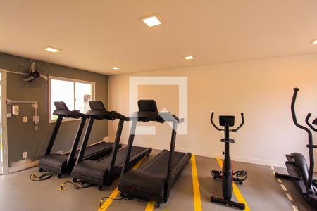 Apartamento à venda com 74m², 3 quartos e 2 vagasÁrea comum - Academia