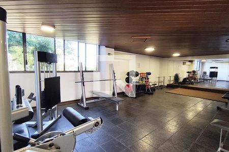 Apartamento à venda com 540m², 4 quartos e 4 vagasÁrea comum - Academia