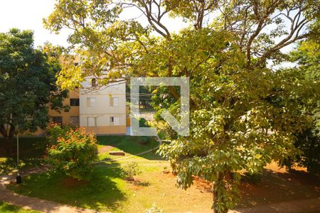 Vista da Sala de Estar de apartamento à venda com 3 quartos, 50m² em Jardim Aurelia, Campinas