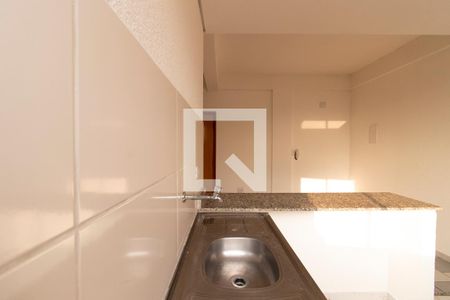 Apartamento para alugar com 60m², 2 quartos e sem vagaCozinha - Torneira