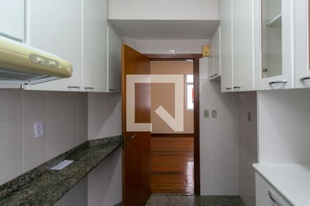 Cozinha de apartamento para alugar com 3 quartos, 100m² em Sion, Belo Horizonte