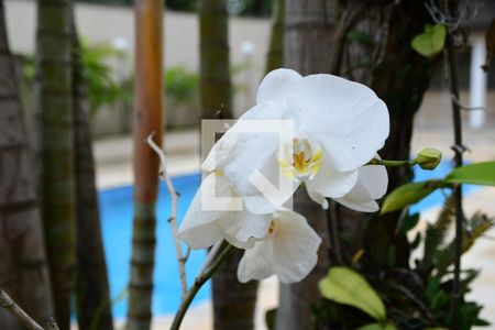 Casa de condomínio para alugar com 670m², 5 quartos e 4 vagas Casa de condomínio para alugar com 670m², 5 quartos e 4 vagasPiscina