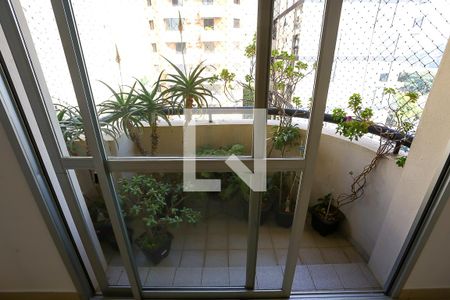 Varanda de apartamento para alugar com 3 quartos, 76m² em Vila Progredior, São Paulo