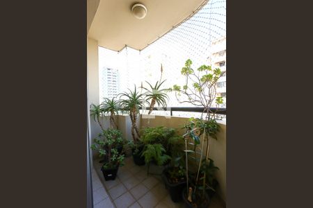 Varanda de apartamento para alugar com 3 quartos, 76m² em Vila Progredior, São Paulo