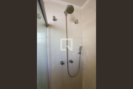 Banheiro da Suíte de apartamento para alugar com 3 quartos, 76m² em Vila Progredior, São Paulo
