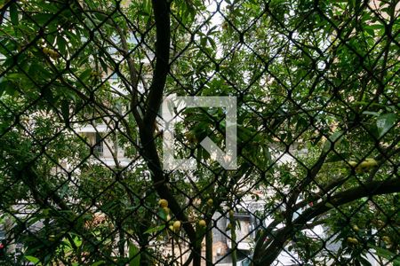 Vista da sala de apartamento à venda com 2 quartos, 67m² em Mandaqui, São Paulo