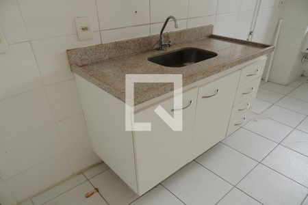 Apartamento para alugar com 53m², 2 quartos e 1 vagaCozinha - Armários