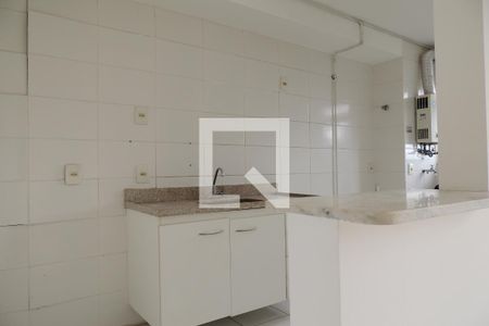 Apartamento para alugar com 53m², 2 quartos e 1 vagaCozinha - Armários