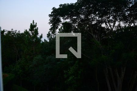 Apartamento para alugar com 51m², 2 quartos e 1 vagaVista da Área de serviços