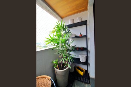 Varanda da Sala de apartamento para alugar com 3 quartos, 80m² em Vila Apiai, Santo André