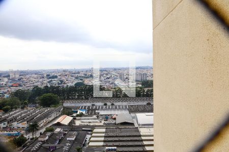 Apartamento à venda com 79m², 3 quartos e 2 vagasVista da Lavanderia