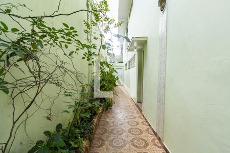 Casa à venda com 250m², 4 quartos e 3 vagasQuintal
