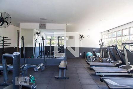 Apartamento para alugar com 61m², 3 quartos e 1 vagaÁrea comum - Academia