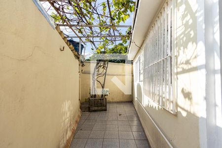 Casa para alugar com 50m², 1 quarto e sem vaga Casa para alugar com 50m², 1 quarto e sem vagaQuintal