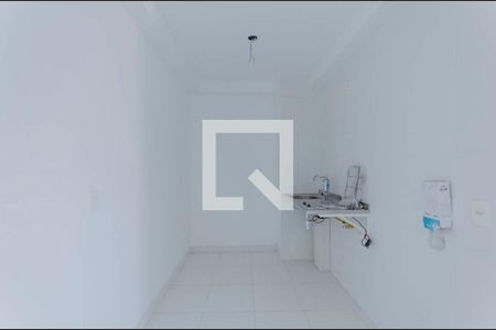 Cozinha de apartamento para alugar com 2 quartos, 50m² em Jardim Santa Terezinha (zona Leste), São Paulo