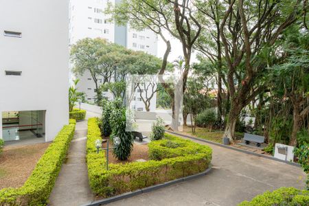 Vista da Sala de apartamento para alugar com 2 quartos, 72m² em Jardim Bonfiglioli, São Paulo