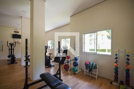 Apartamento à venda com 75m², 3 quartos e 2 vagasAcademia