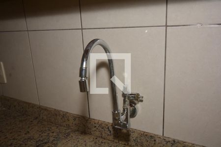 Apartamento para alugar com 62m², 2 quartos e sem vagaCozinha - Torneira