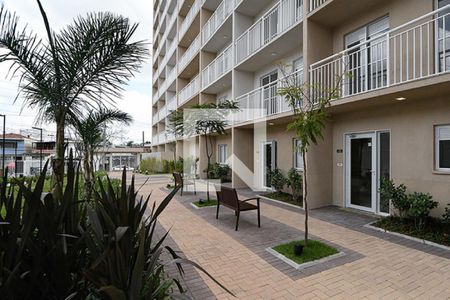 Área Comum de apartamento para alugar com 1 quarto, 35m² em Vila Palmeiras, São Paulo